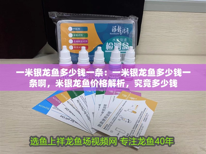 一米銀龍魚多少錢一條：一米銀龍魚多少錢一條啊，米銀龍魚價格解析，究竟多少錢