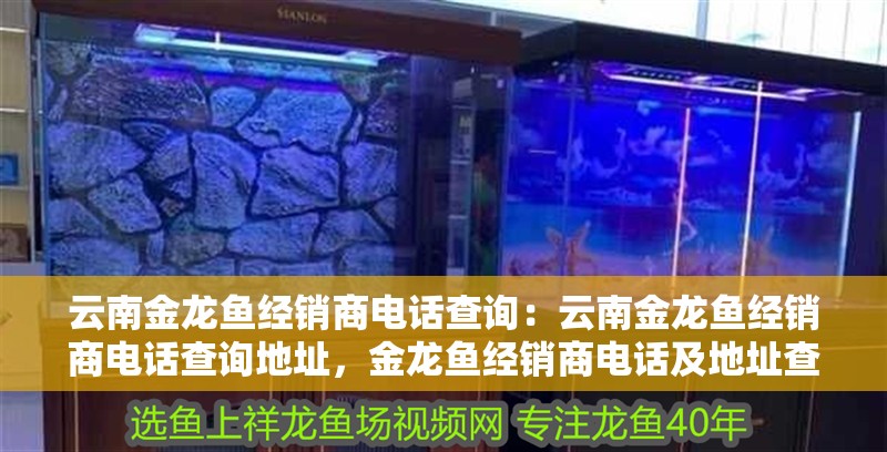 云南金龍魚經銷商電話查詢：云南金龍魚經銷商電話查詢地址，金龍魚經銷商電話及地址查詢指南