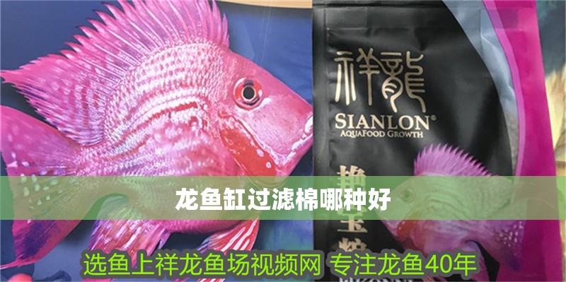 龍魚缸過濾棉哪種好 龍魚缸過濾棉哪種好 龍魚百科 第2張