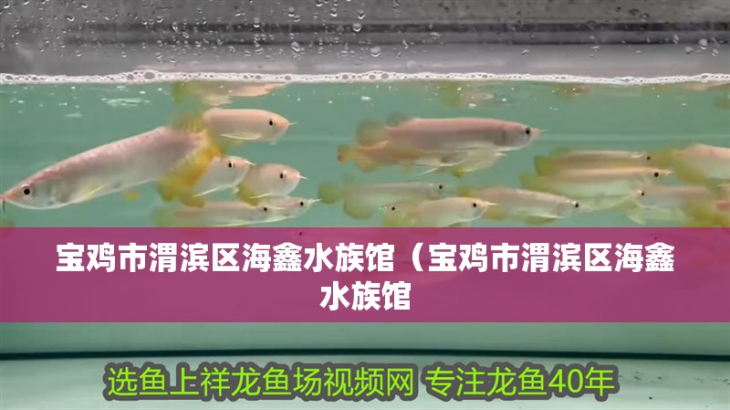 寶雞市渭濱區(qū)海鑫水族館（寶雞市渭濱區(qū)海鑫水族館