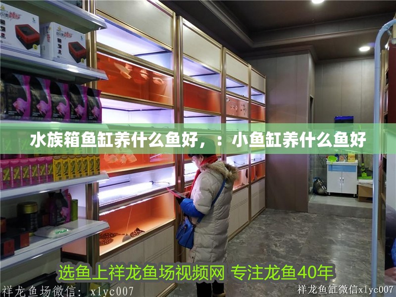 我的虎魚真菌感染了要怎么處理 水族箱魚缸養什么魚好,:小魚缸養什么魚好 魚缸百科 水族箱魚缸養什么魚好,:小魚缸養什么魚好 水族箱魚缸養什么魚好,:小魚缸養什么魚好 魚缸百科