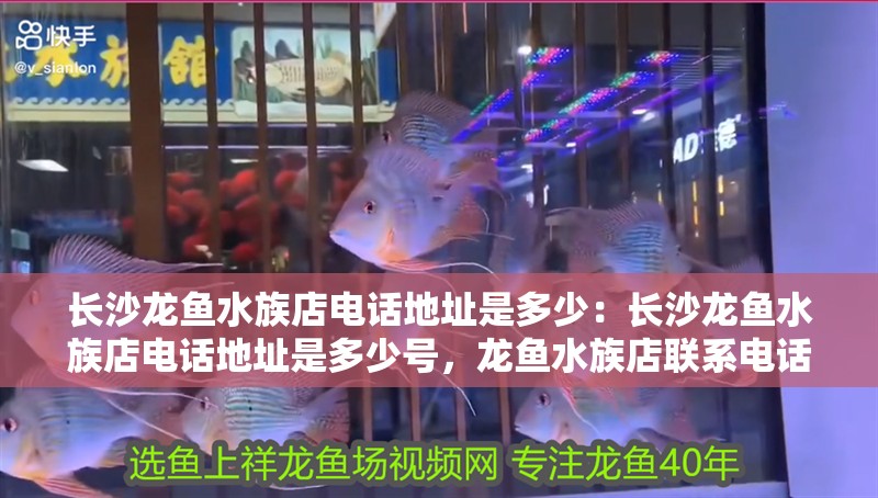 長沙龍魚水族店電話地址是多少：長沙龍魚水族店電話地址是多少號，龍魚水族店聯(lián)系電話及詳細(xì)地址