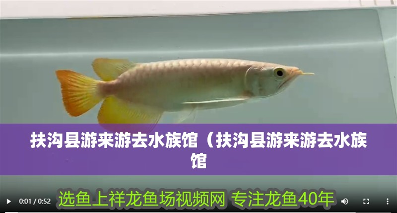 扶溝縣游來游去水族館（扶溝縣游來游去水族館 扶溝縣游來游去水族館（扶溝縣游來游去水族館 全國水族館企業名錄 第2張