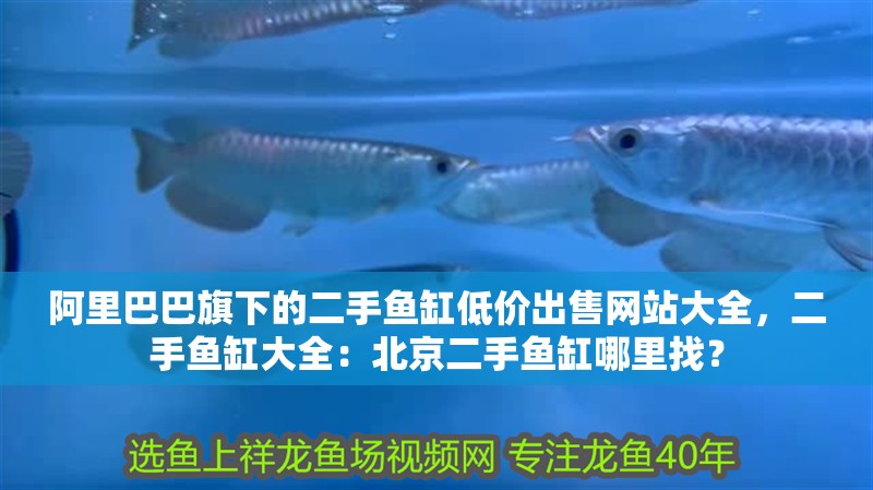 阿里巴巴旗下的二手魚缸低價出售網站大全，二手魚缸大全：北京二手魚缸哪里找？ 阿里巴巴旗下的二手魚缸低價出售網站大全，二手魚缸大全：北京二手魚缸哪里找？ 魚缸百科