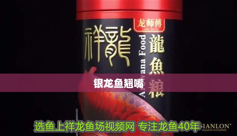 魚缸用增氧泵價格是多少:魚缸增氧機-xtrac增氧機-xtrac增氧機 銀龍魚翹嘴 銀龍魚百科 銀龍魚翹嘴 銀龍魚翹嘴 銀龍魚百科