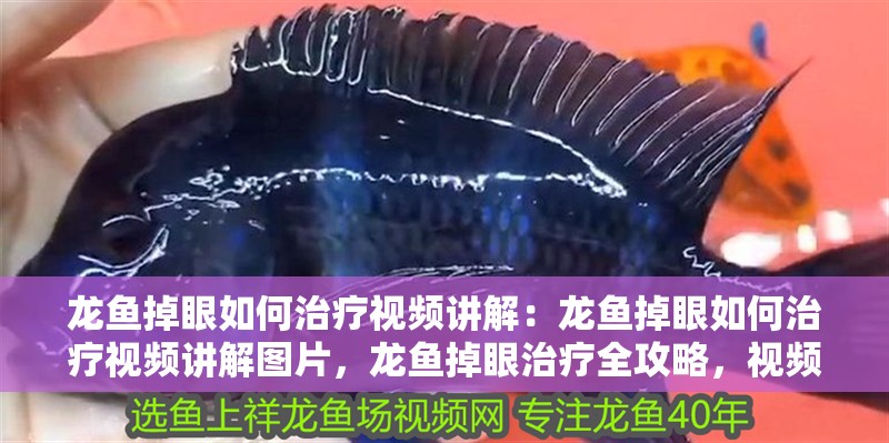 龍魚掉眼如何治療視頻講解：龍魚掉眼如何治療視頻講解圖片，龍魚掉眼治療全攻略，視頻+圖片詳細講解