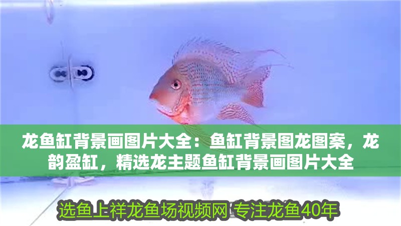 龍魚缸背景畫圖片大全：魚缸背景圖龍圖案，龍韻盈缸，精選龍主題魚缸背景畫圖片大全