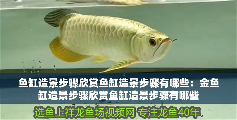 魚缸造景步驟欣賞魚缸造景步驟有哪些：金魚缸造景步驟欣賞魚缸造景步驟有哪些