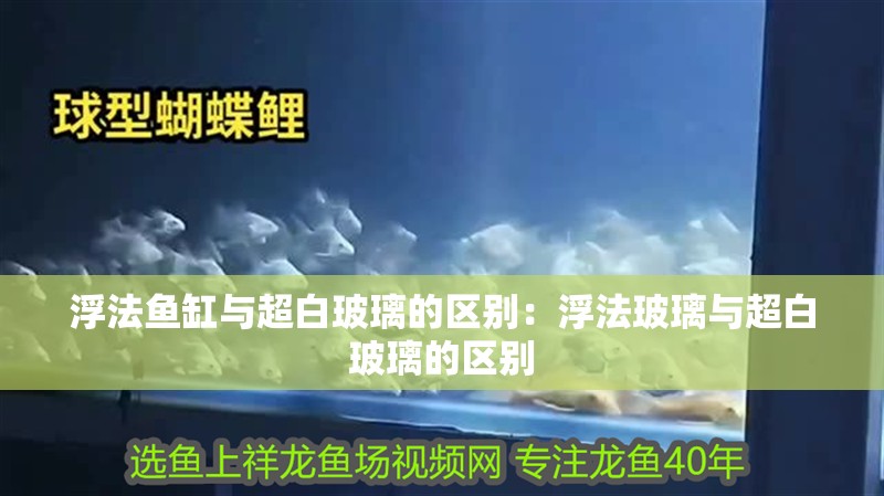 浮法魚缸與超白玻璃的區別：浮法玻璃與超白玻璃的區別