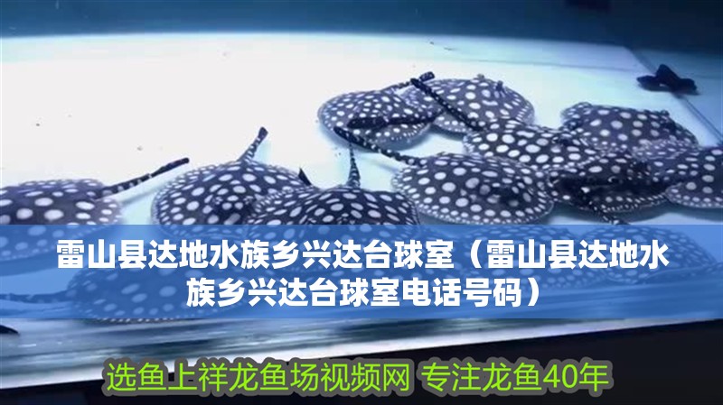 雷山縣達地水族鄉興達臺球室（雷山縣達地水族鄉興達臺球室電話號碼）