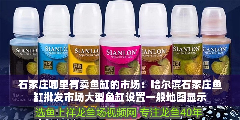 石家莊哪里有賣魚缸的市場：哈爾濱石家莊魚缸批發市場大型魚缸設置一般地圖顯示