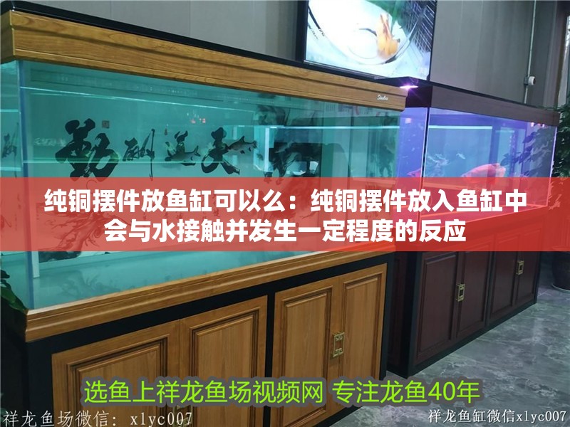 純銅擺件放魚缸可以么：純銅擺件放入魚缸中會與水接觸并發生一定程度的反應