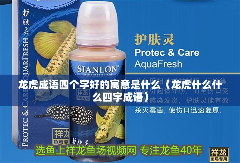 龍魚干蝦有營(yíng)養(yǎng)嗎 龍虎成語(yǔ)四個(gè)字好的寓意是什么(龍虎什么什么四字成語(yǔ)) 虎魚百科 龍虎成語(yǔ)四個(gè)字好的寓意是什么(龍虎什么什么四字成語(yǔ)) 龍虎成語(yǔ)四個(gè)字好的寓意是什么(龍虎什么什么四字成語(yǔ)) 虎魚百科