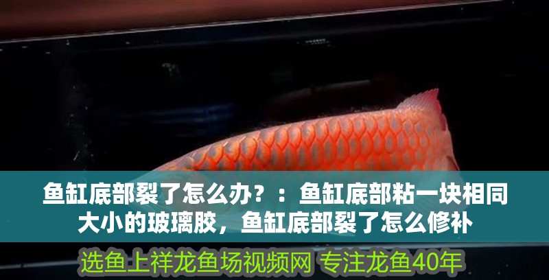 魚缸底部裂了怎么辦？：魚缸底部粘一塊相同大小的玻璃膠，魚缸底部裂了怎么修補