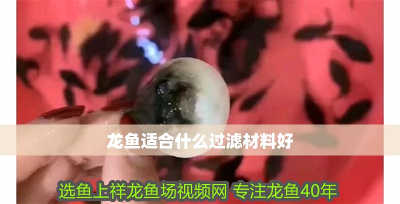 龍魚適合什么過濾材料好