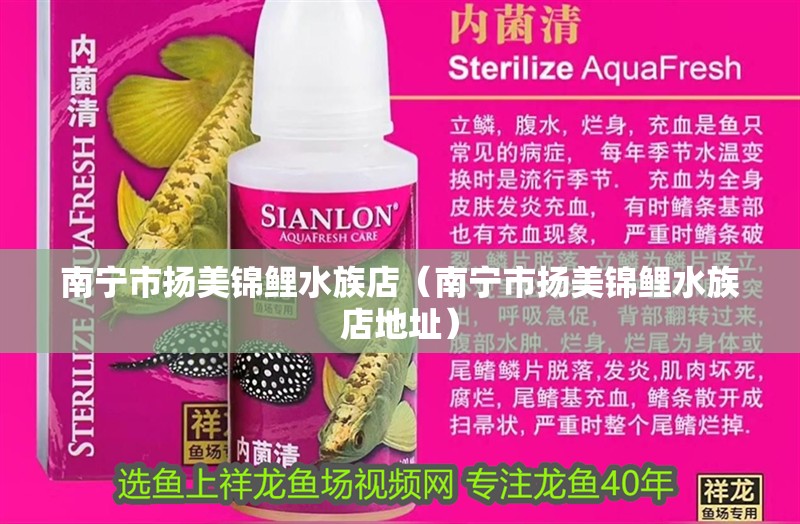 南寧市揚(yáng)美錦鯉水族店(南寧市揚(yáng)美錦鯉水族店地址) 全國(guó)水族館企業(yè)名錄 第2張 南寧市揚(yáng)美錦鯉水族店(南寧市揚(yáng)美錦鯉水族店地址) 南寧市揚(yáng)美錦鯉水族店(南寧市揚(yáng)美錦鯉水族店地址) 全國(guó)水族館企業(yè)名錄 第2張