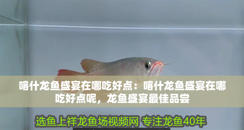 喀什龍魚盛宴在哪吃好點：喀什龍魚盛宴在哪吃好點呢，龍魚盛宴最佳品嘗