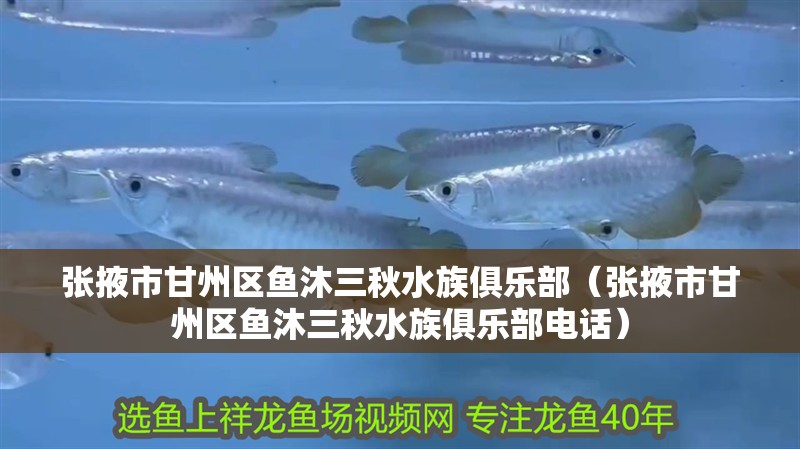 張掖市甘州區魚沐三秋水族俱樂部（張掖市甘州區魚沐三秋水族俱樂部電話）