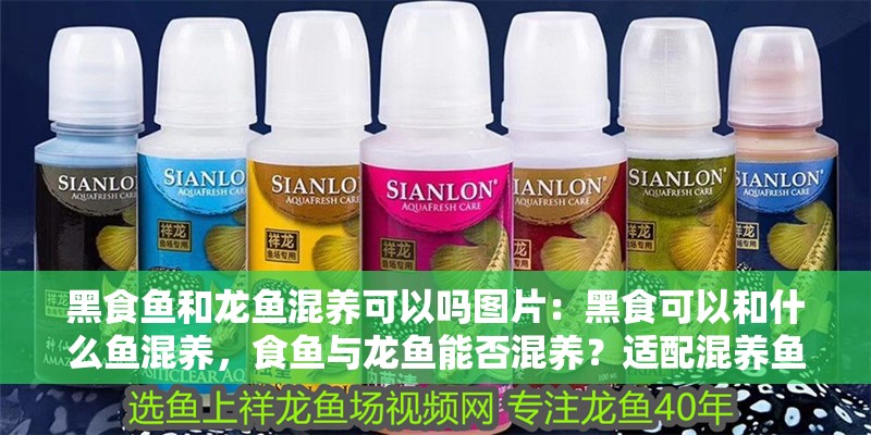 黑食魚和龍魚混養可以嗎圖片：黑食可以和什么魚混養，食魚與龍魚能否混養？適配混養魚類全