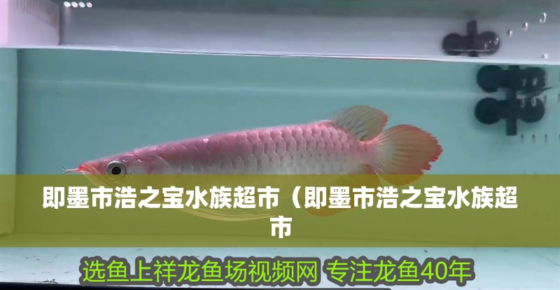 即墨市浩之寶水族超市（即墨市浩之寶水族超市 即墨市浩之寶水族超市（即墨市浩之寶水族超市 全國水族館企業名錄 第2張