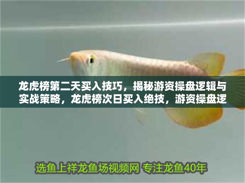 龍虎榜第二天買入技巧，揭秘游資操盤邏輯與實戰策略，龍虎榜次日買入絕技，游資操盤邏輯與實戰策略全解析