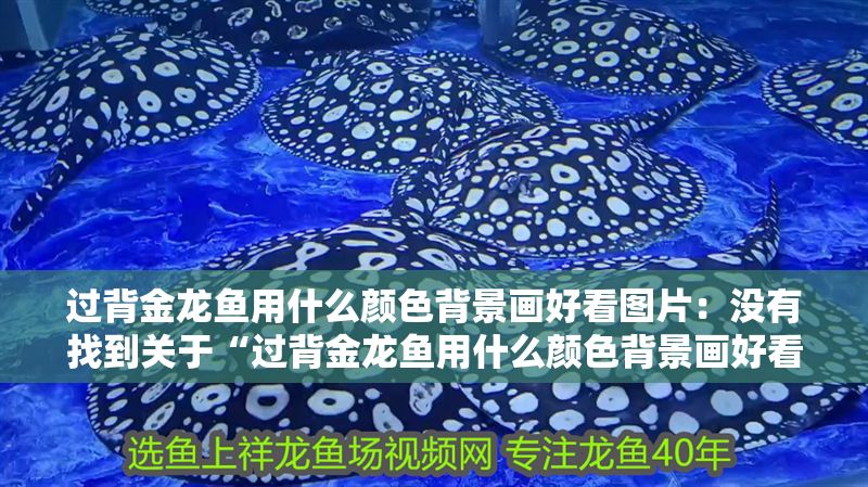 過背金龍魚用什么顏色背景畫好看圖片:沒有找到關于“過背金龍魚用什么顏色背景畫好看圖片詳情”的信息 金龍魚百科 第1張 過背金龍魚用什么顏色背景畫好看圖片:沒有找到關于“過背金龍魚用什么顏色背景畫好看圖片詳情”的信息 過背金龍魚用什么顏色背景畫好看圖片:沒有找到關于“過背金龍魚用什么顏色背景畫好看圖片詳情”的信息 金龍魚百科 第1張