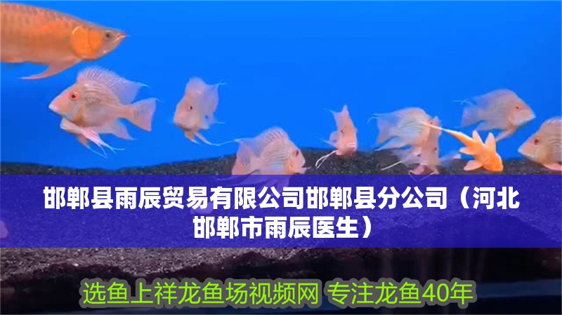 邯鄲縣雨辰貿易有限公司邯鄲縣分公司（河北邯鄲市雨辰醫(yī)生）