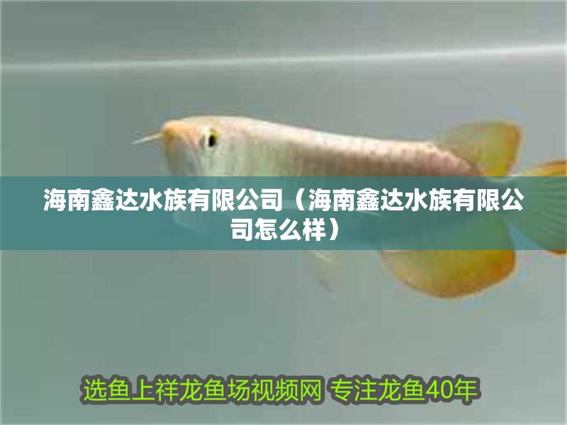 海南鑫達水族有限公司（海南鑫達水族有限公司怎么樣）