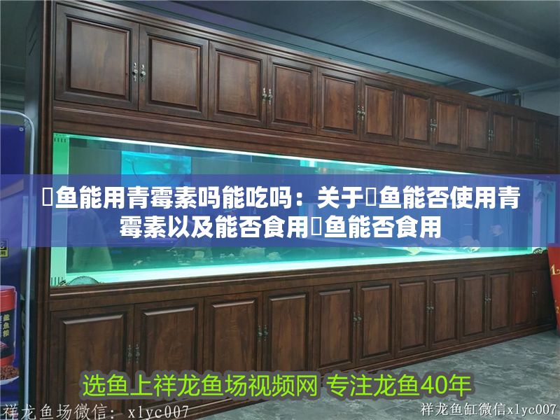 魟魚能用青霉素嗎能吃嗎：關(guān)于魟魚能否使用青霉素以及能否食用魟魚能否食用 魟魚能用青霉素嗎能吃嗎：關(guān)于魟魚能否使用青霉素以及能否食用魟魚能否食用 魟魚百科 第2張