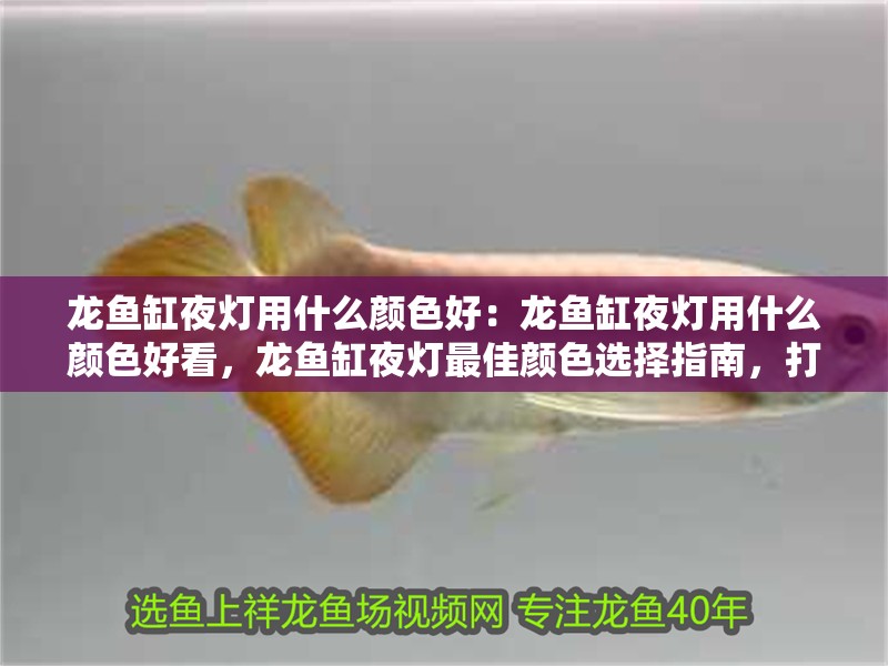 龍魚(yú)缸夜燈用什么顏色好：龍魚(yú)缸夜燈用什么顏色好看，龍魚(yú)缸夜燈最佳顏色選擇指南，打造夢(mèng)幻水族景觀
