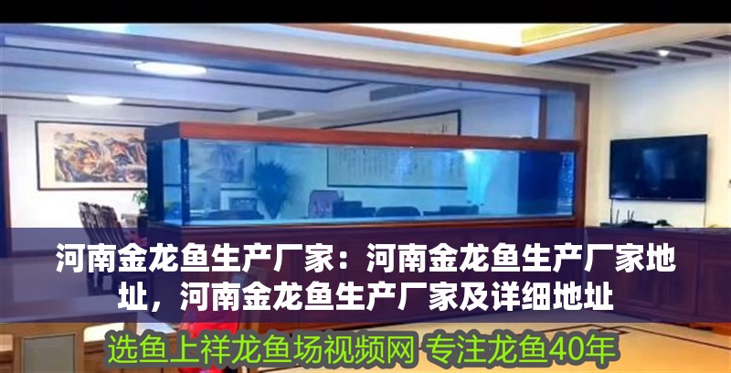 河南金龍魚生產廠家：河南金龍魚生產廠家地址，河南金龍魚生產廠家及詳細地址