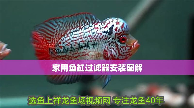 家用魚缸過濾器安裝圖解