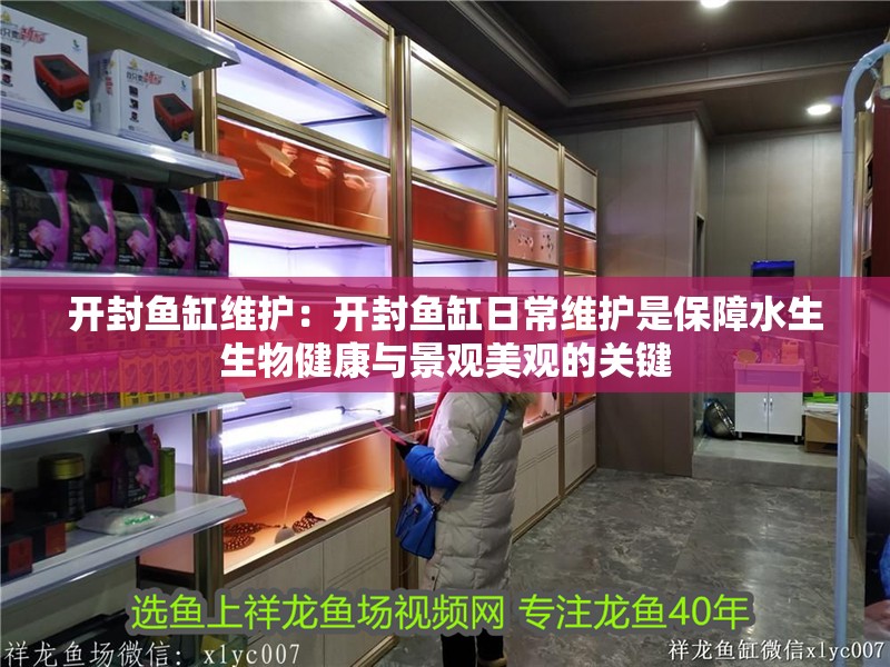 開封魚缸維護：開封魚缸日常維護是保障水生生物健康與景觀美觀的關(guān)鍵