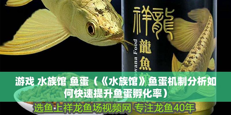 游戲 水族館 魚蛋（《水族館》魚蛋機制分析如何快速提升魚蛋孵化率）
