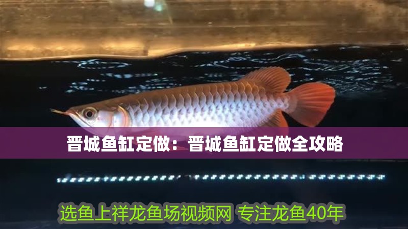 晉城魚缸定做：晉城魚缸定做全攻略