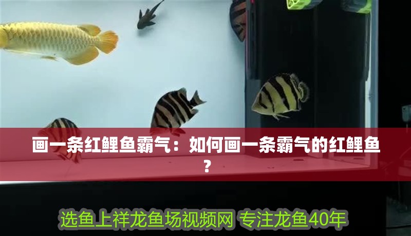 畫一條紅鯉魚霸氣：如何畫一條霸氣的紅鯉魚？