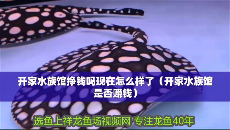 開(kāi)家水族館掙錢(qián)嗎現(xiàn)在怎么樣了（開(kāi)家水族館是否賺錢(qián)）