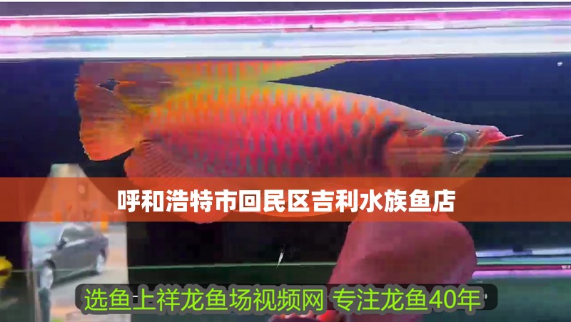 呼和浩特市回民區吉利水族魚店