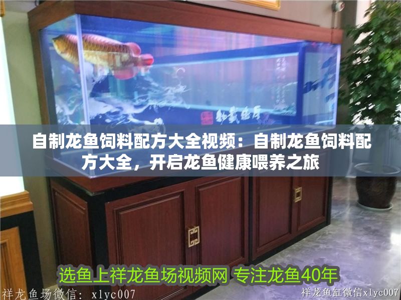 自制龍魚飼料配方大全視頻：自制龍魚飼料配方大全，開啟龍魚健康喂養之旅