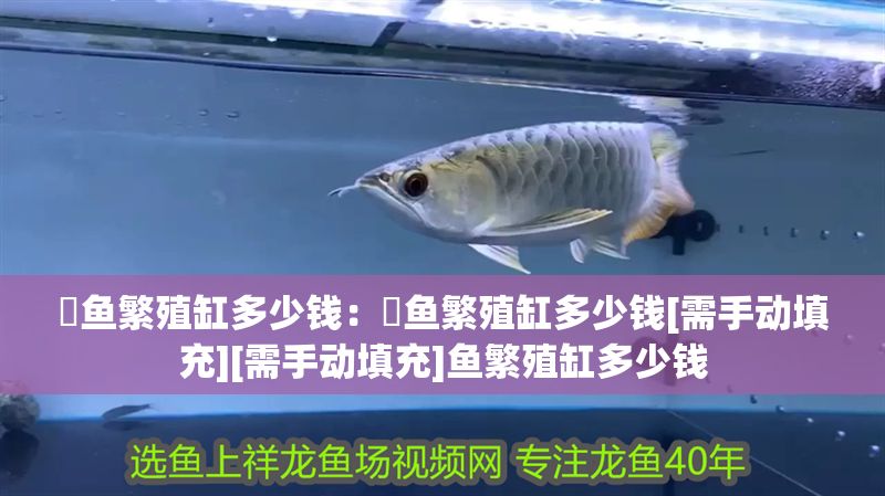 魟魚繁殖缸多少錢：魟魚繁殖缸多少錢[需手動填充][需手動填充]魚繁殖缸多少錢 魟魚繁殖缸多少錢：魟魚繁殖缸多少錢[需手動填充][需手動填充]魚繁殖缸多少錢 魟魚百科 第2張