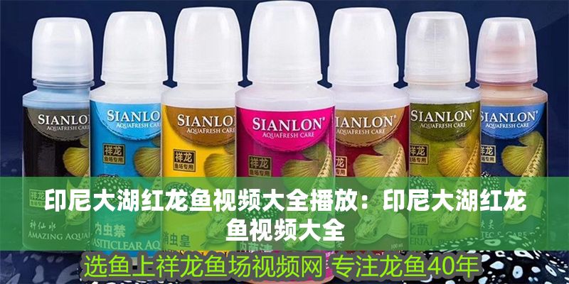 印尼大湖紅龍魚(yú)視頻大全播放：印尼大湖紅龍魚(yú)視頻大全