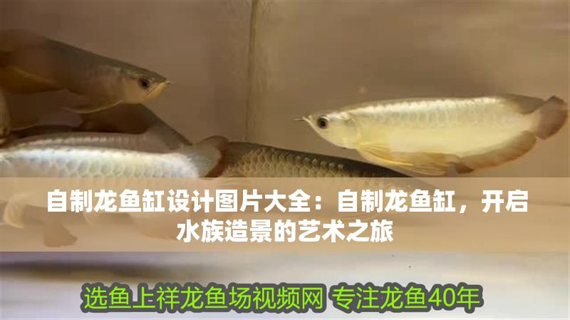 自制龍魚缸設(shè)計(jì)圖片大全：自制龍魚缸，開啟水族造景的藝術(shù)之旅