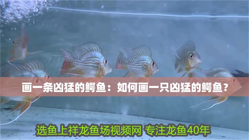 畫一條兇猛的鱷魚：如何畫一只兇猛的鱷魚？