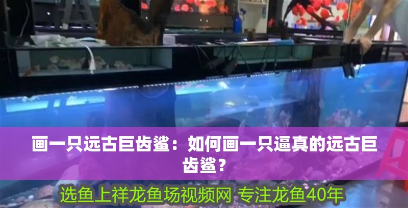 畫一只遠古巨齒鯊:如何畫一只逼真的遠古巨齒鯊? 龍魚論壇 畫一只遠古巨齒鯊:如何畫一只逼真的遠古巨齒鯊? 畫一只遠古巨齒鯊:如何畫一只逼真的遠古巨齒鯊? 龍魚論壇