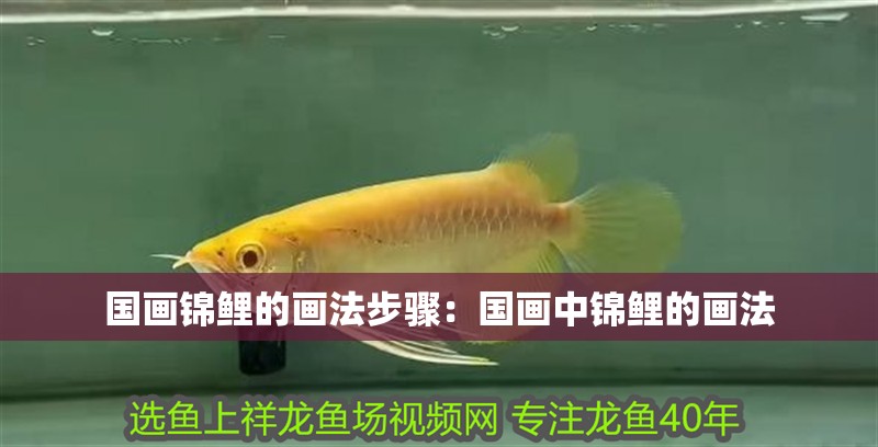 國(guó)畫(huà)錦鯉的畫(huà)法步驟：國(guó)畫(huà)中錦鯉的畫(huà)法