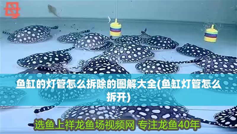 魚缸的燈管怎么拆除的圖解大全(魚缸燈管怎么拆開)