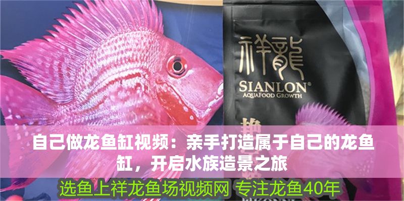 自己做龍魚缸視頻：親手打造屬于自己的龍魚缸，開啟水族造景之旅