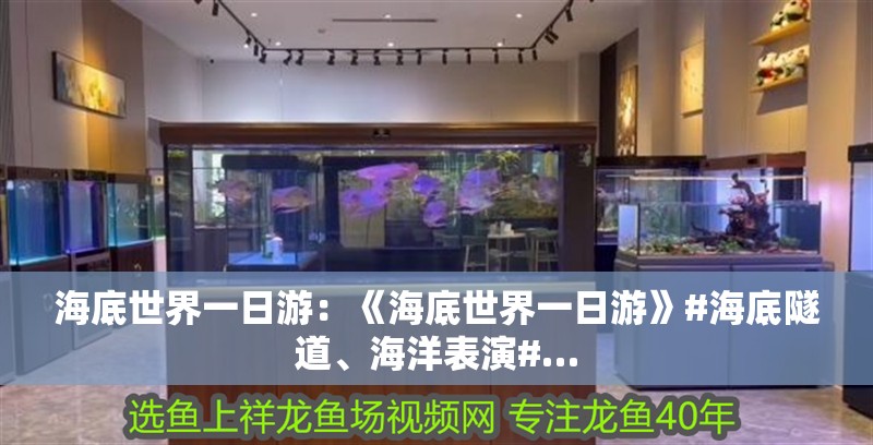 海底世界一日游：《海底世界一日游》#海底隧道、海洋表演#…