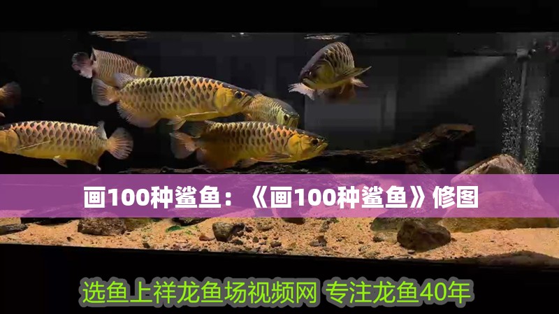 畫100種鯊魚:《畫100種鯊魚》修圖 龍魚論壇 畫100種鯊魚:《畫100種鯊魚》修圖 畫100種鯊魚:《畫100種鯊魚》修圖 龍魚論壇