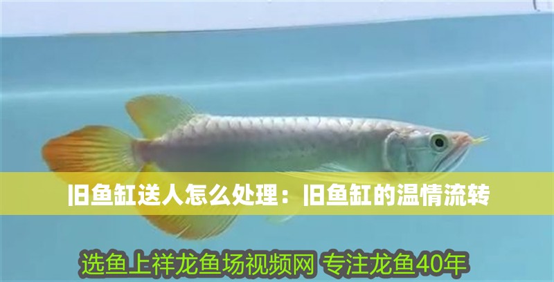 舊魚缸送人怎么處理：舊魚缸的溫情流轉
